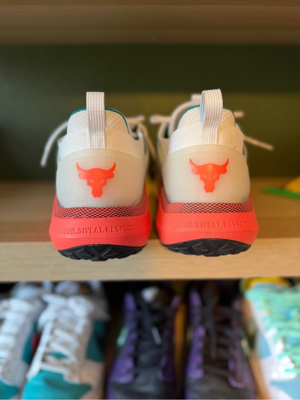 Under Armour Project Rock View 3